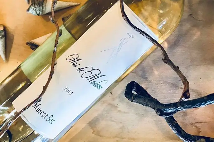 Festicave — photo 7