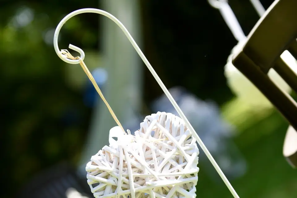 RenaudMagnePhotographie — photo 2