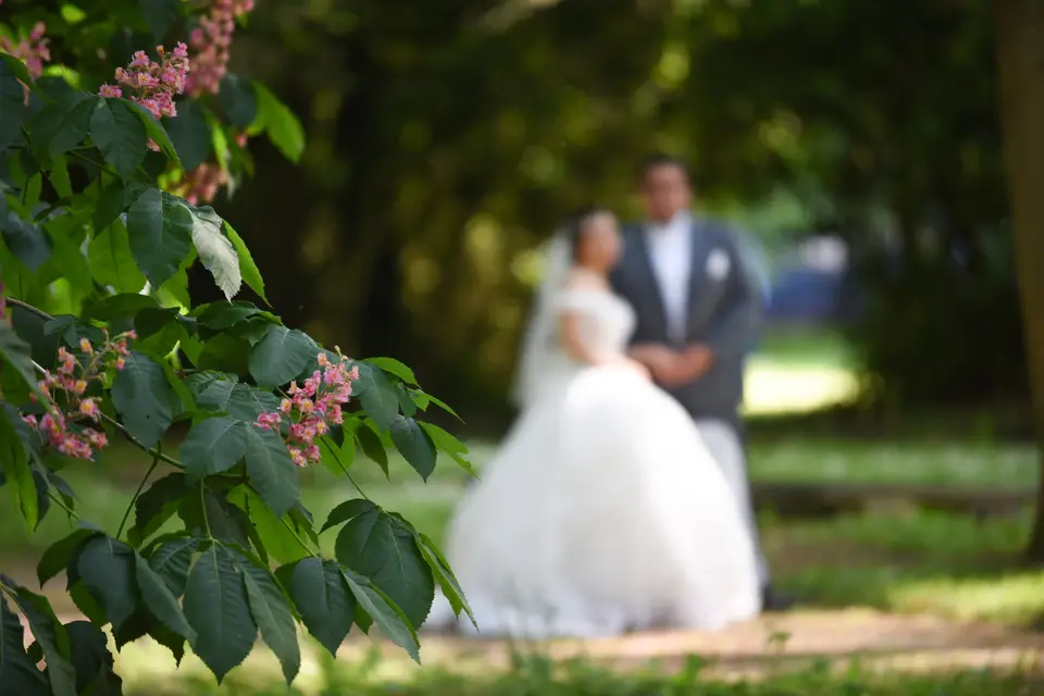 RenaudMagnePhotographie — photo 4