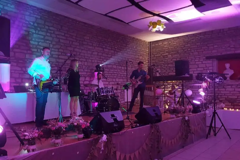 Fanny Williams - Live Music — photo 3