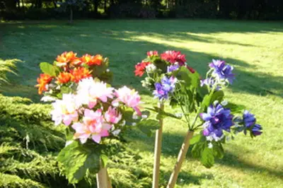 Idées Plus — photo 8