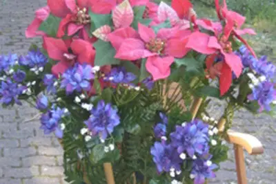 Idées Plus — photo 3