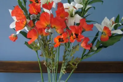 Idées Plus — photo 4