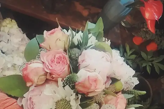 L'Instant Bucolique — photo 3