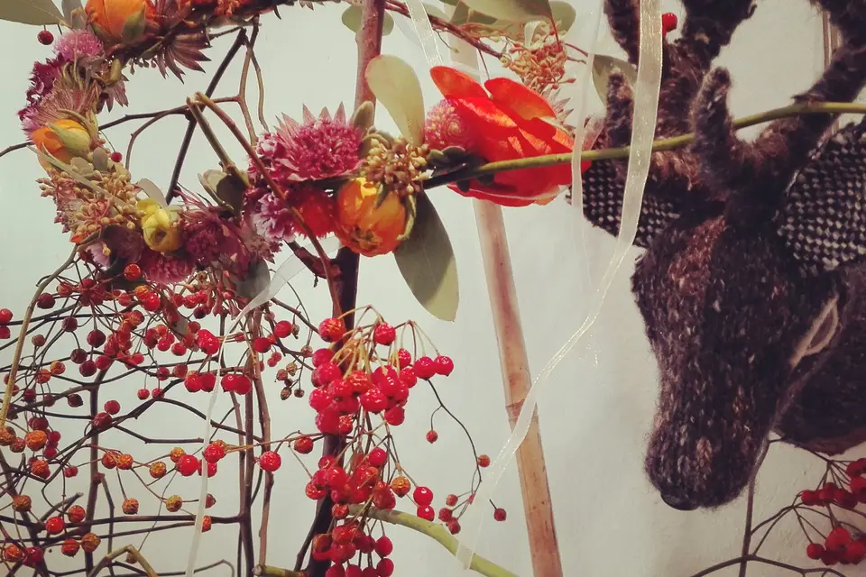 L'Instant Bucolique — photo 8