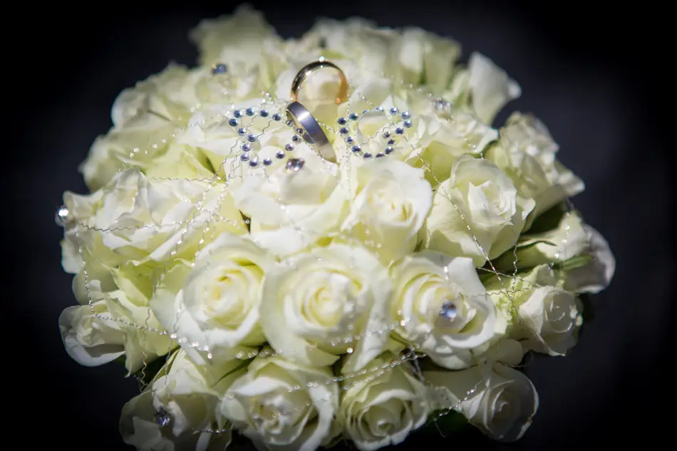 Studio Mediacom — photo 6