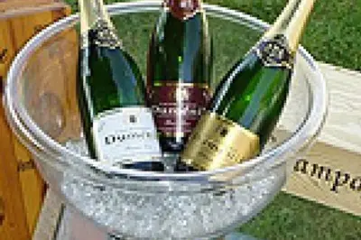 Allo'Cation — photo 3