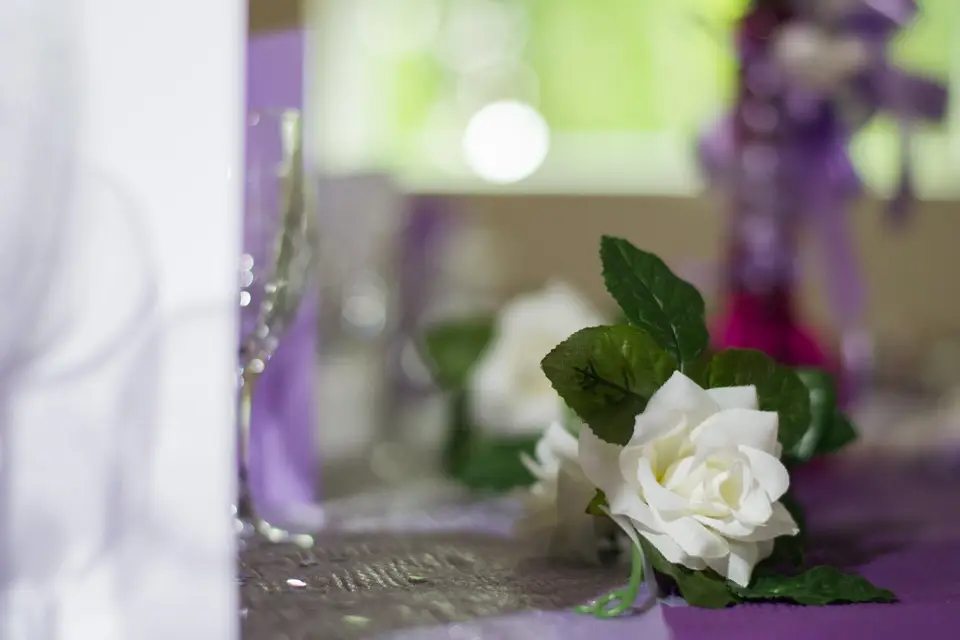 Instant Souvenir — photo 1