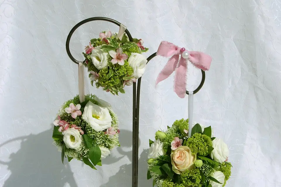 F. Saulnier — photo 2