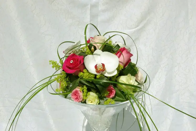 F. Saulnier — photo 1