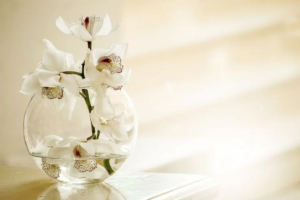 Evas'& Déco — photo 8