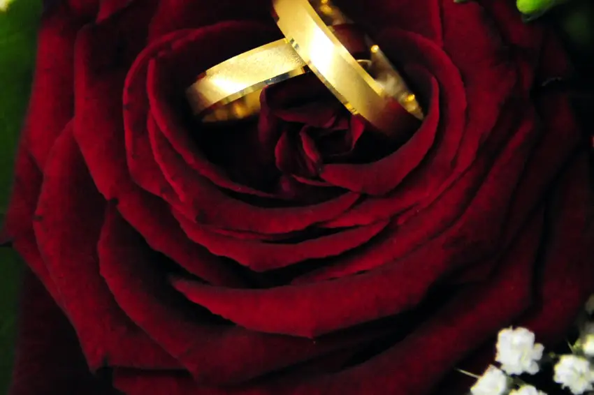 Delphine Héau Photographe — photo 9