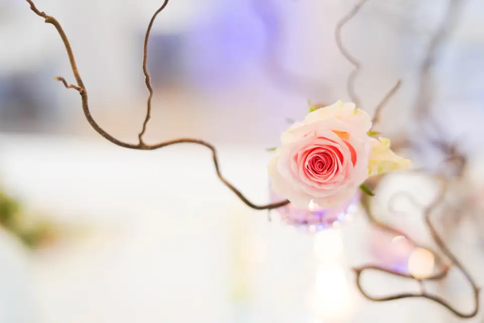 Delphine Héau Photographe — photo 3