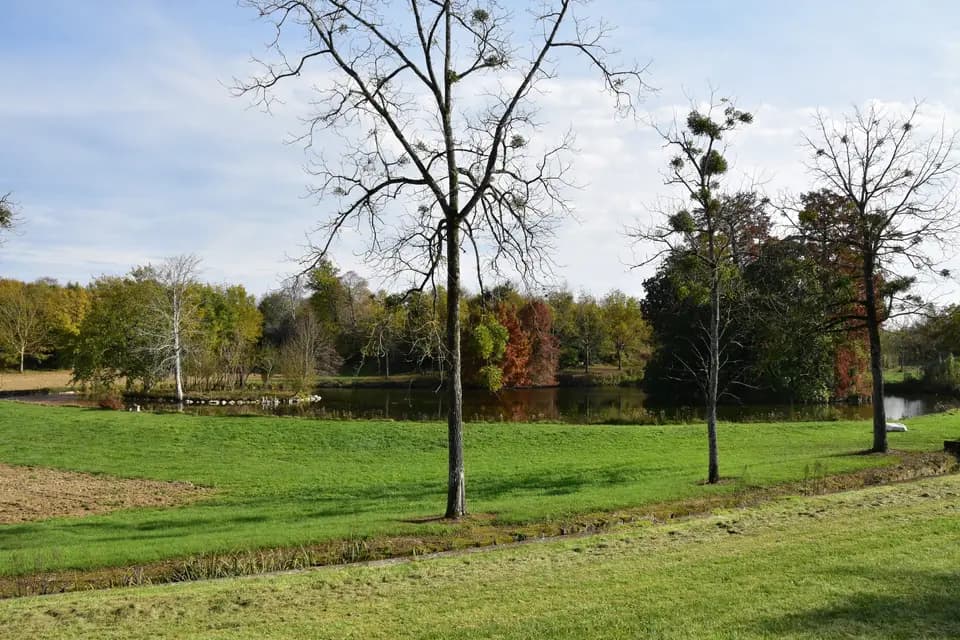 Château de Crain — photo 7