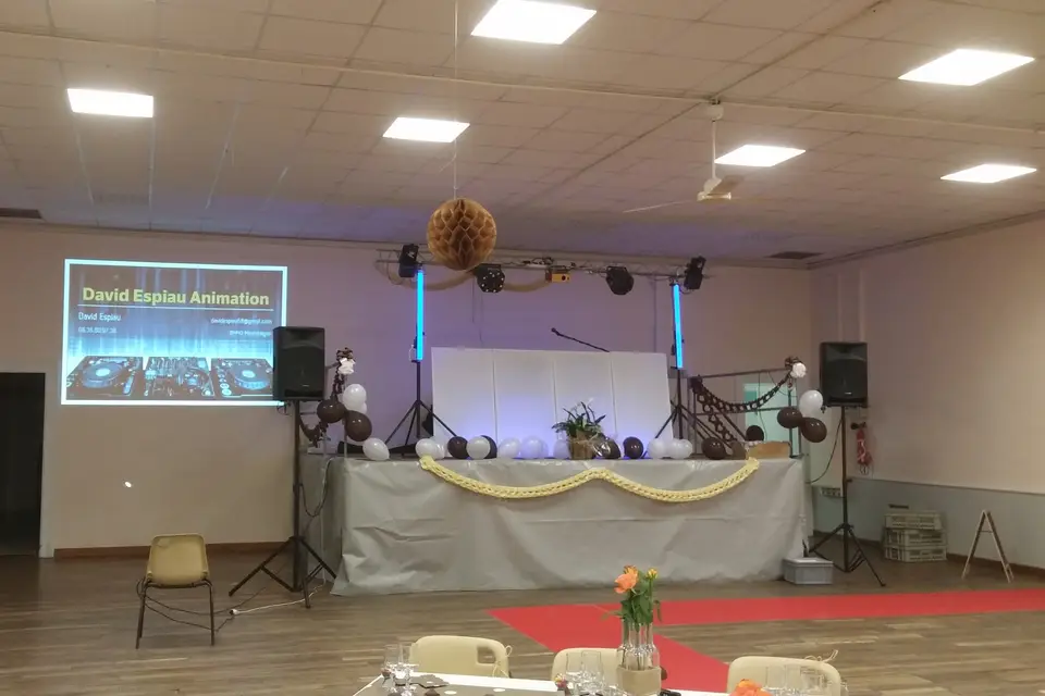 David Espiau Animation — photo 2