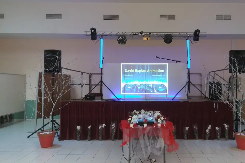 David Espiau Animation — photo 1