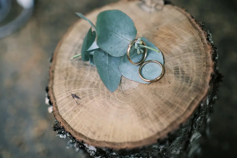 Bertrand Devendeville — photo 1