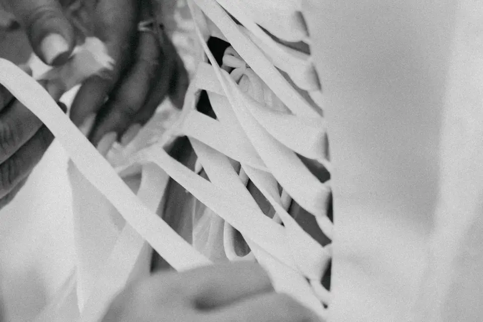 Okara Pictures — photo 4