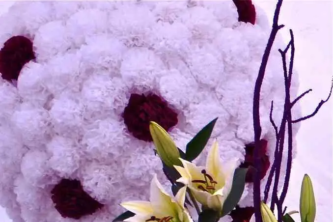 Hésione Design — photo 4