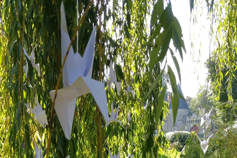 Hésione Design — photo 8