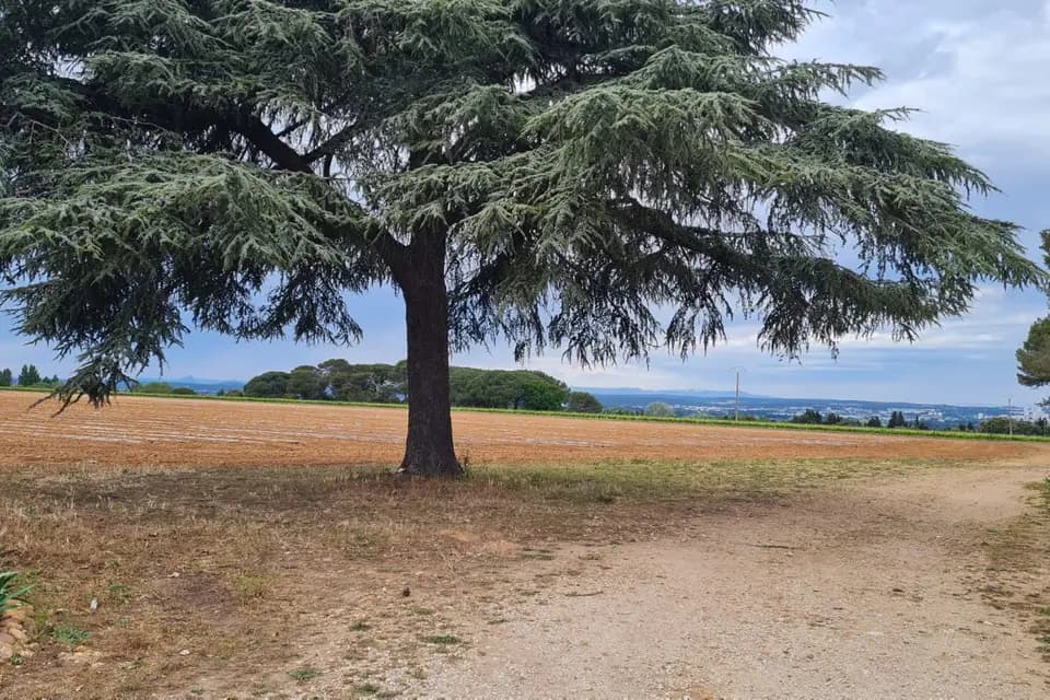 Domaine de Montroche — photo 5