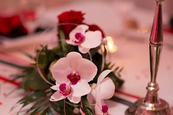 Par'Fête — photo 1