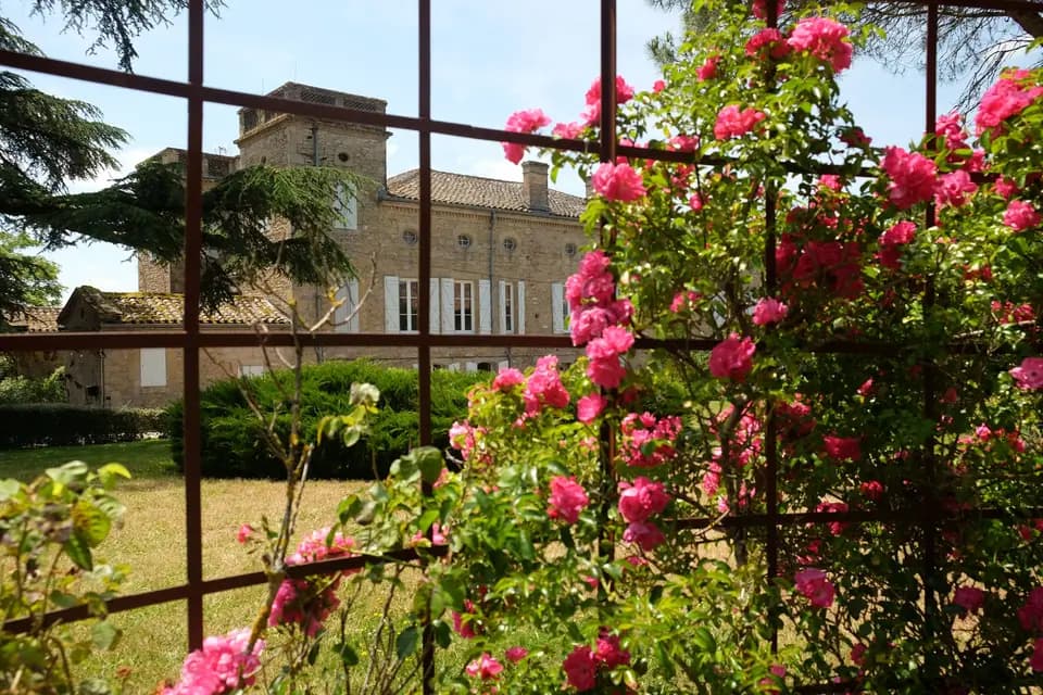 Château de Terride — photo 8