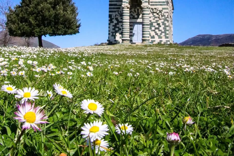 Vos Voyages by Naura — photo 1