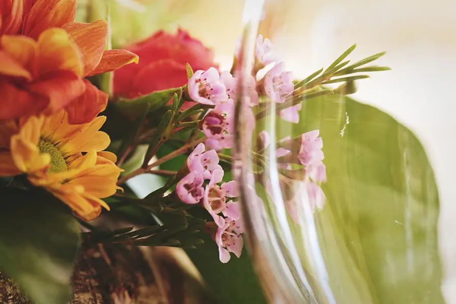 Jeux de Lumière — photo 6