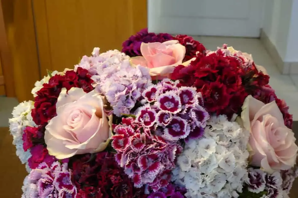 Quatre Coins Fleuris — photo 8