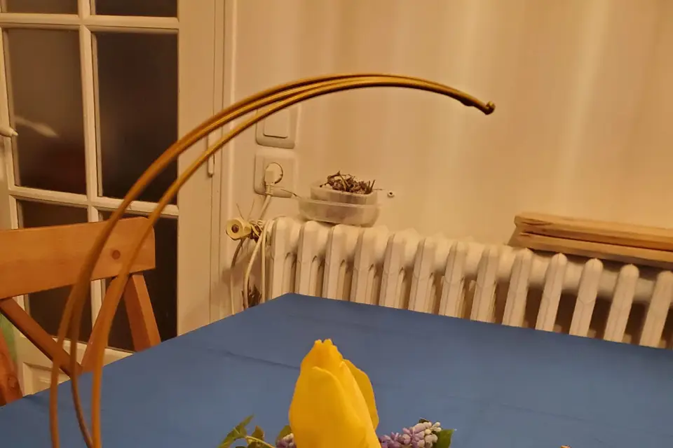 Quatre Coins Fleuris — photo 7