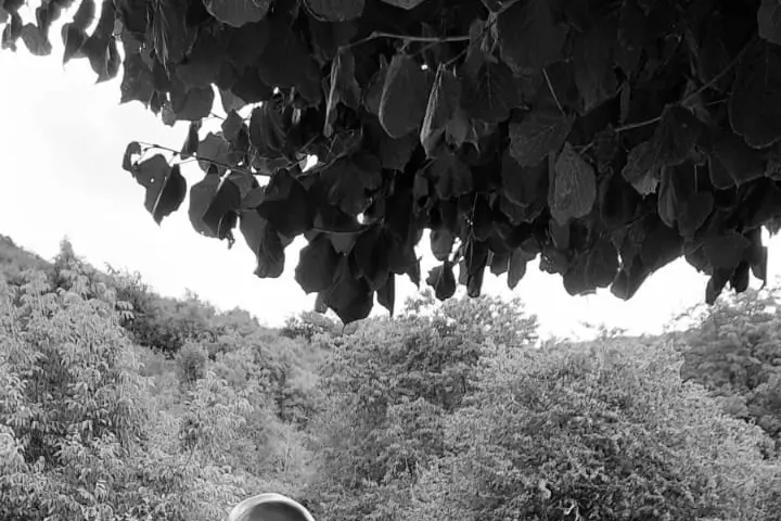 Le temps d'un cocktail