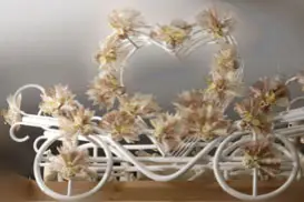 Ambiance et Fêtes — photo 2