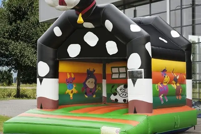 Carrément Gonflé — photo 1