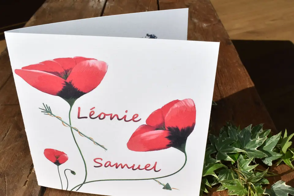 Maboiteàdessin — photo 1