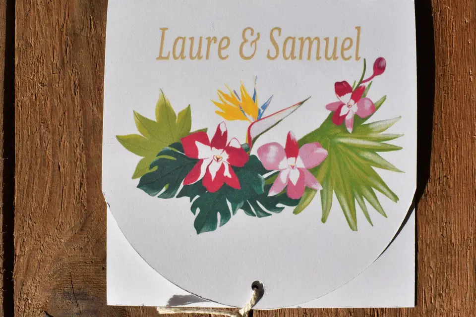 Maboiteàdessin — photo 3