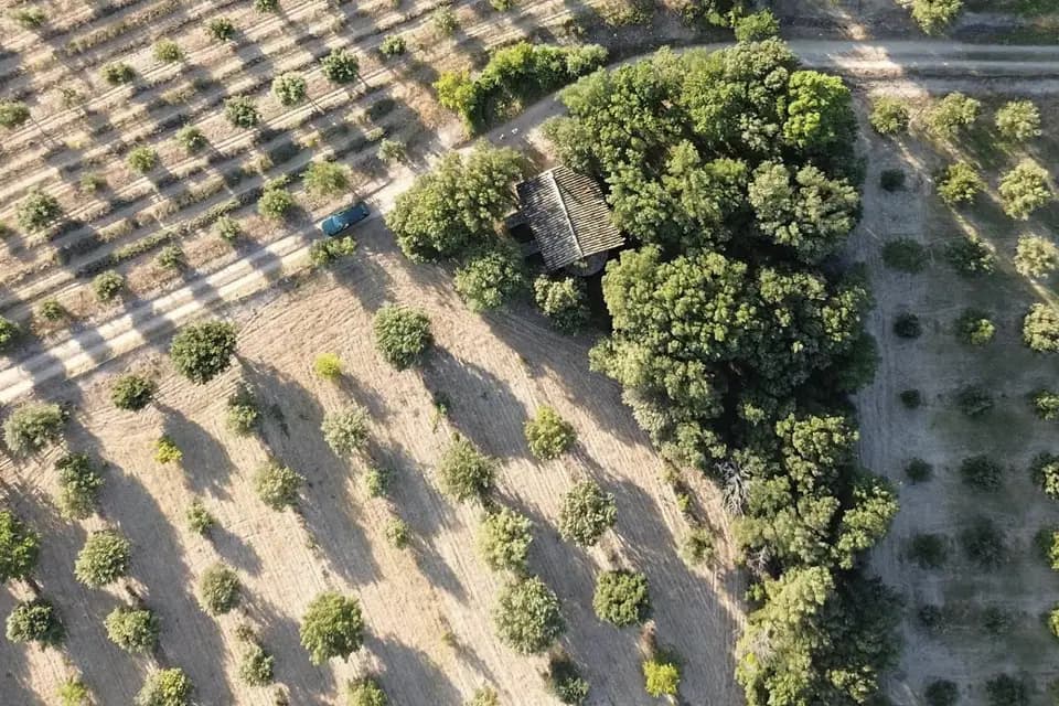 Envolée Artistique — photo 6