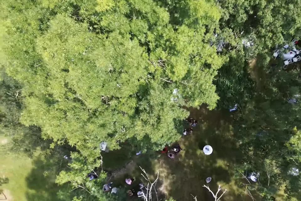 Envolée Artistique — photo 5