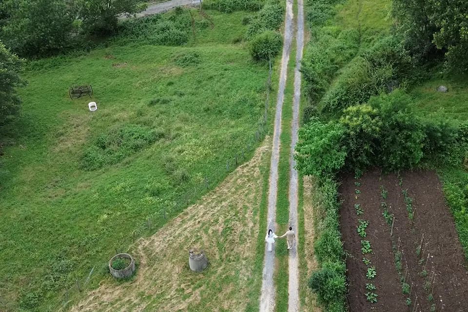 Envolée Artistique — photo 1