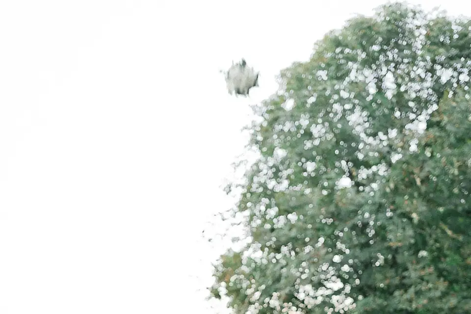 Un moment sur mesure — photo 7