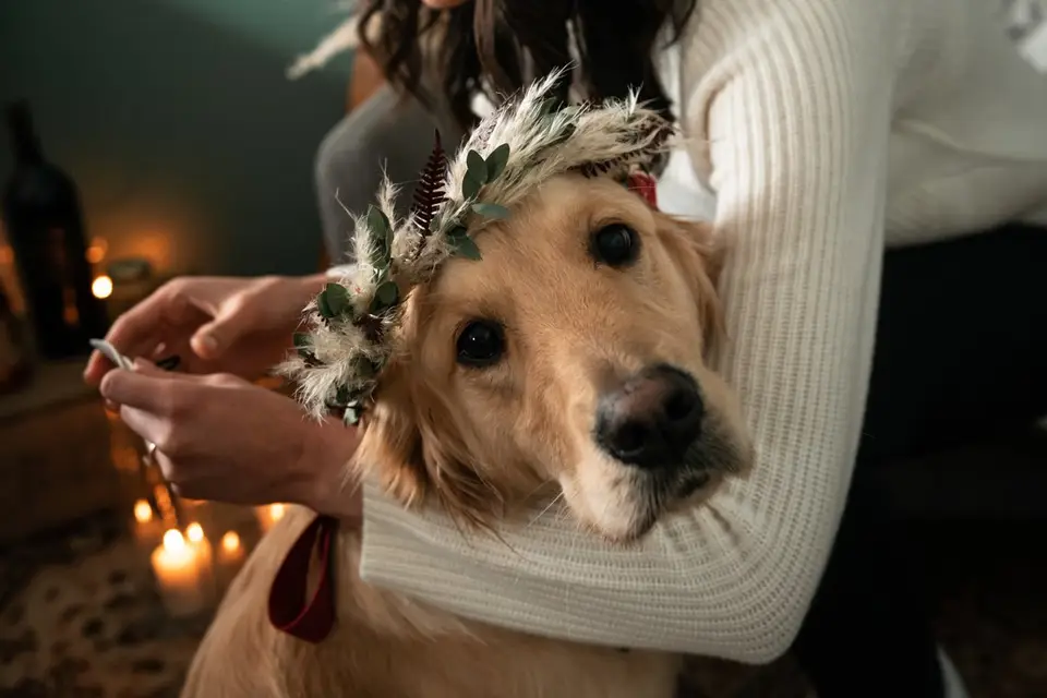 Ma petite cérémonie — photo 8