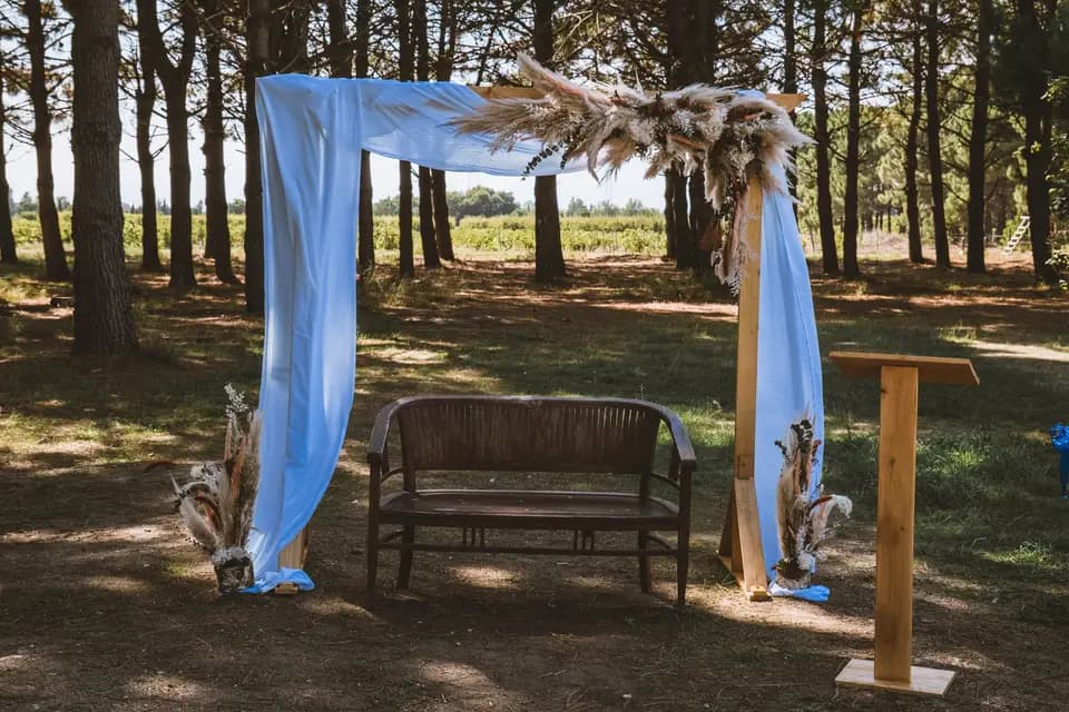 Drswedding — photo 8