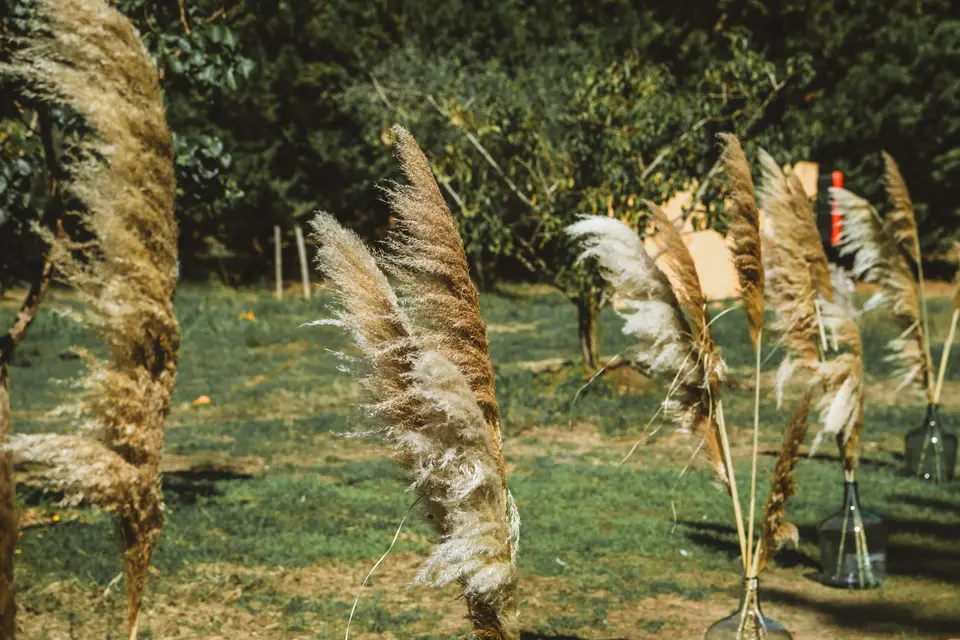 Drswedding — photo 6