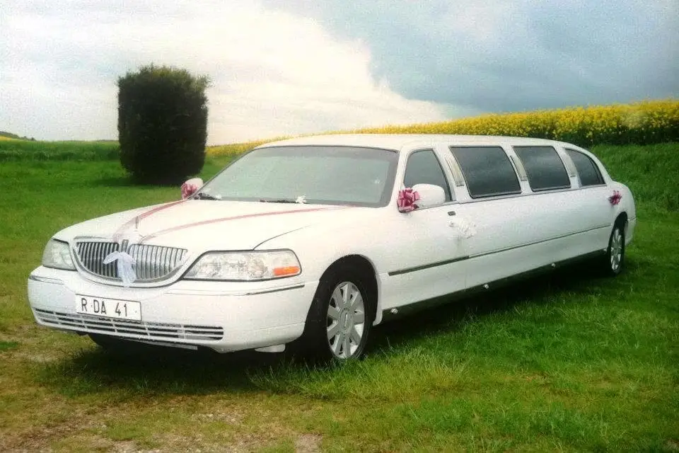 Trans Vip — photo 2