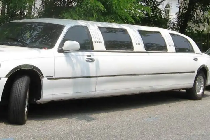 Trans Vip — photo 1