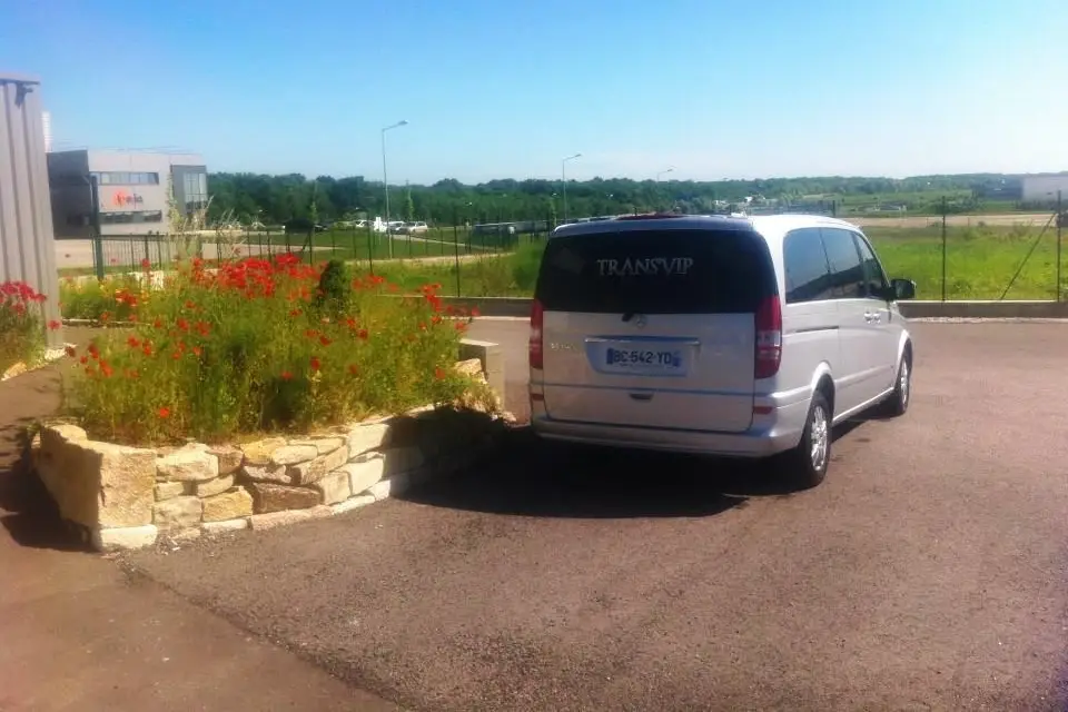 Trans Vip — photo 7