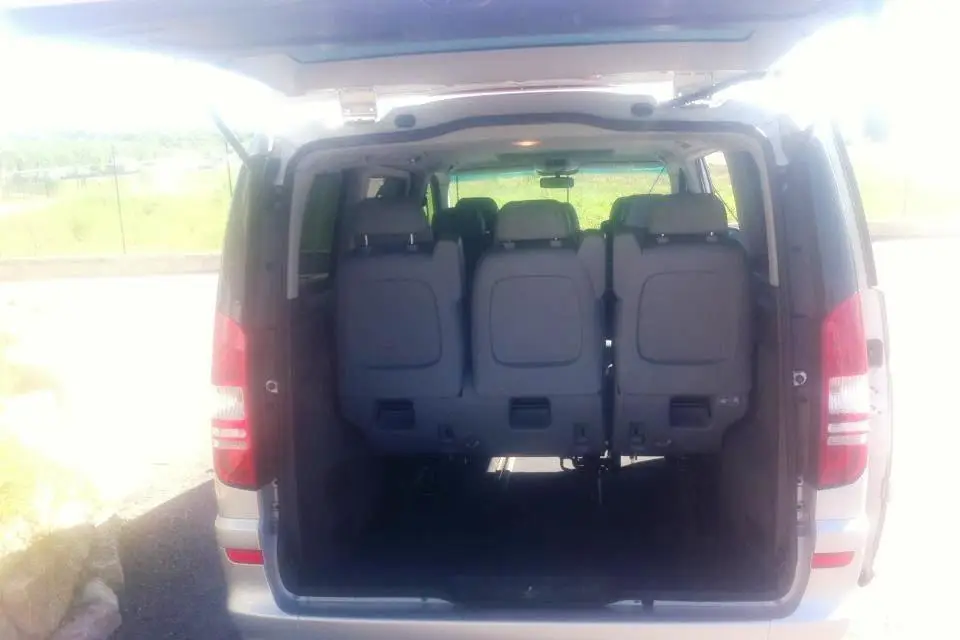 Trans Vip — photo 8