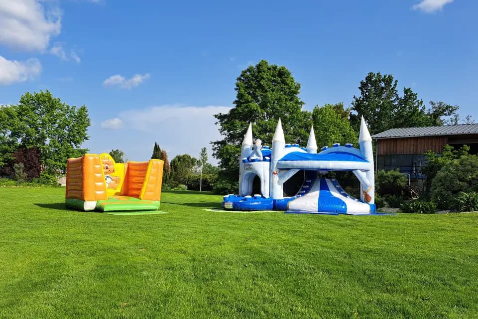 Domaine Bajon — photo 8