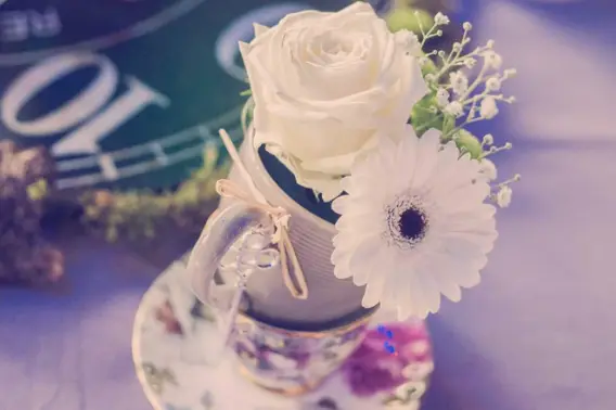 Il était une fois... Organza — photo 4