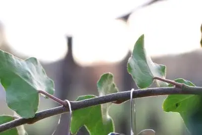 L'atelier bijoux d'Elodie — photo 6